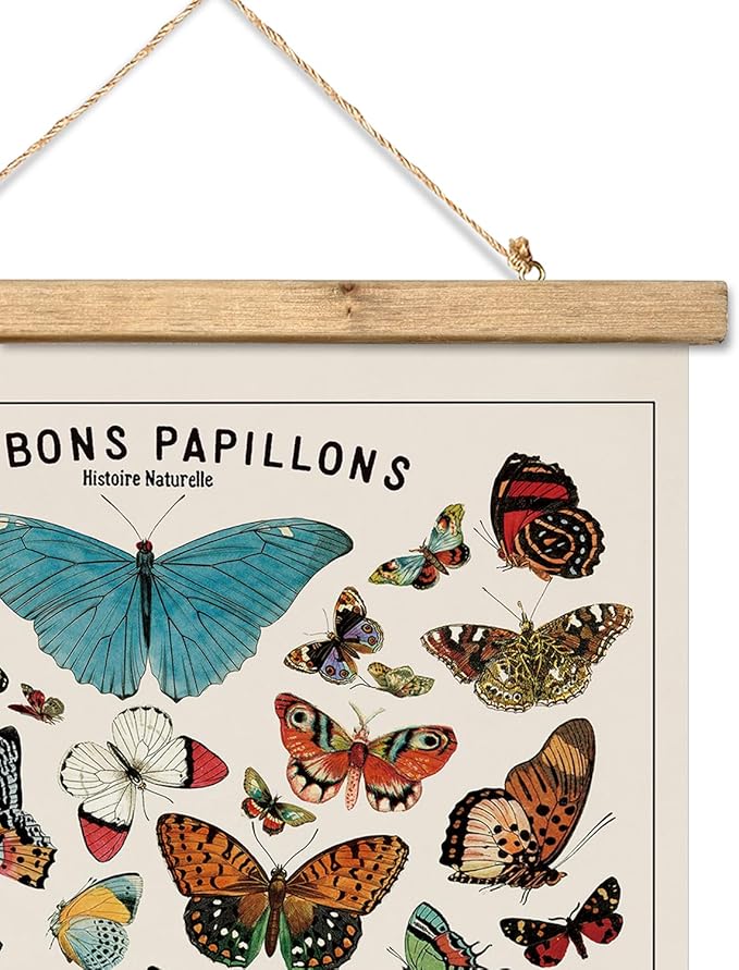 XIAOAIKA Vintage Butterfly Species Poster - Illustrated Educational Chart with Wooden Frame - Entomology Wall Art for Nature Lovers, Classrooms, and Home Decor 12 x 16 Inches
