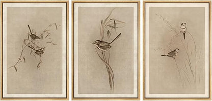 MUDECOR Framed Wall Art Print Set Vintage Bird Wheat Ear Illustrations Modern Art Boho Decorative Colorful Chic for Living Room, Bedroom, Office - 16"x24"x3 Natural
