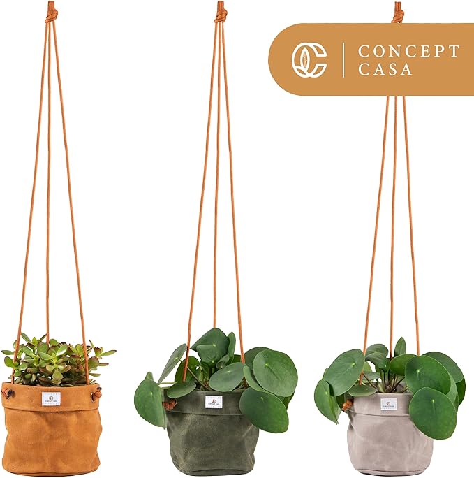 Waxed Canvas Handmade Hanging Planter for Indoor/Outdoor Plants, Hanging Basket Plant Holder Dijon Yellow with Hook