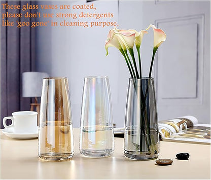 FANTESTICRYAN Modern Glass Vase Irised Crystal Clear Glass Vase for Home Office Decor (Crystal Amber)