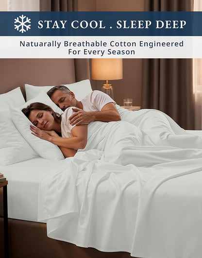 LANE LINEN 100% Egyptian Cotton Bed Sheets sábanas Queen, Soft & Comfy Luxury Hotel Like Thick Bedding Sheets & Pillowcase Set, Machine Wash Cooling 15'' Queen Deep Pocket Sheet Set - Vaporous Gray