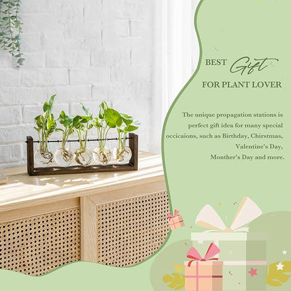Mkono Plant Terrarium with Wooden Stand, Wall Hanging Glass Planter Desktop Plant Propagation Vase with Metal Swivel Retro Rack for Hydroponics Plants Home Office Decor (5 Bulb Vase)