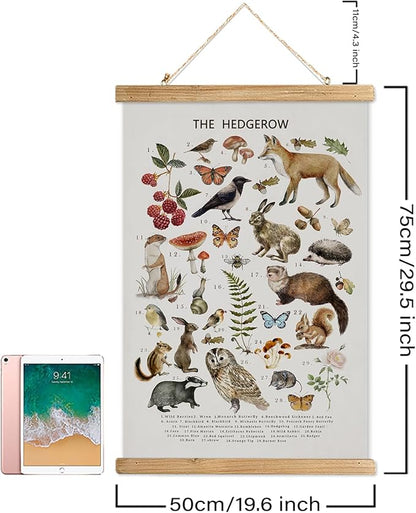 XIAOAIKA British Hedgerow Wildlife Educational Poster - Illustrated Nature Chart with Wooden Frame - Countryside Animals and Plants Wall Art for Home, School, or Nature Reserve Decor 20 x 30 Inches