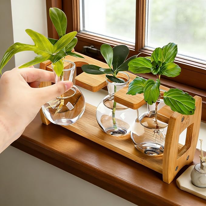 2 Pack Propagation Stations with Bamboo Stand, 8 Bulbs Desktop Water Plant Terrarium Vase, Retro Plant Propagation Jars for Indoor Plants, Glass Planter Gifts for Home Office Table Decor