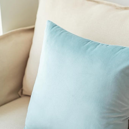 NiNi ALL Decorative Throw Pillow Covers Pack of 2, Velvet Throw Pillow Cases for Couch Pillows Cover Bedroom Living Room Outdoor Pillow Covers 24x24 Inch Baby Blue