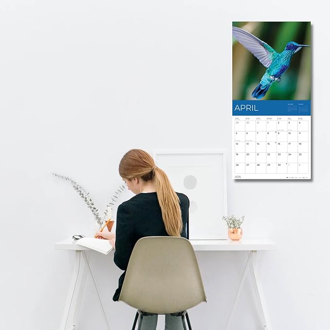 Hummingbirds Wall Calendar 2026 | 12" x 24" Open | Giftable Nature Calendar 2026 | Thick & Sturdy Paper for Organizing & Planning | Pacific Waters Press (Hummingbirds)