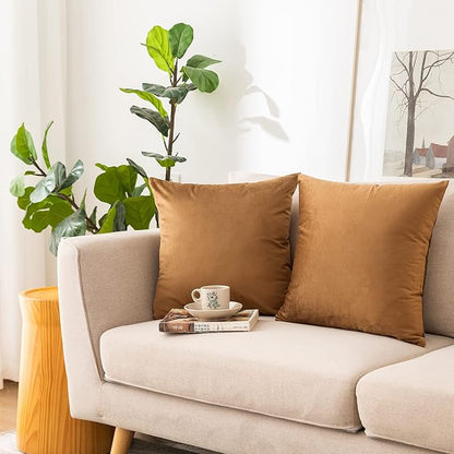NiNi ALL Decorative Brown Throw Pillow Covers Pack of 2 Velvet 12x12 Inch Throw Pillow Cases for Couch Pillows Cover Bedroom Living Room Outdoor Pillows Cover