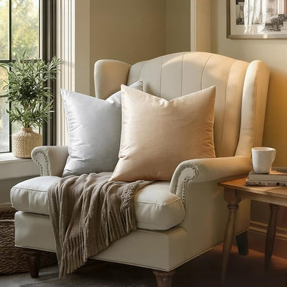 MIULEE Velvet Throw Pillow Covers 18x18 Inch, Pack of 2 - Champagne, Super Soft Decorative Square Cushion Cases Modern Luxury Home Decor for Sofa, Couch, Bed, Chair with Invisible Zipper