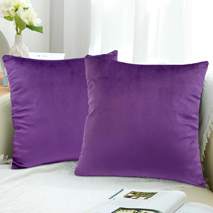 RELY+ Pack of 2 Throw Pillow Covers 16x16 Inch Velvet Soft Cozy Solid Decoration Gifts Pillow Covers Luxury Cushion Case for Sofa Couch Bedroom Living Room (Purple, 18 X 18)