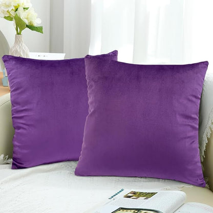 RELY+ Pack of 2 Throw Pillow Covers 16x16 Inch Velvet Soft Cozy Solid Decoration Gifts Pillow Covers Luxury Cushion Case for Sofa Couch Bedroom Living Room (Purple, 18 X 18)