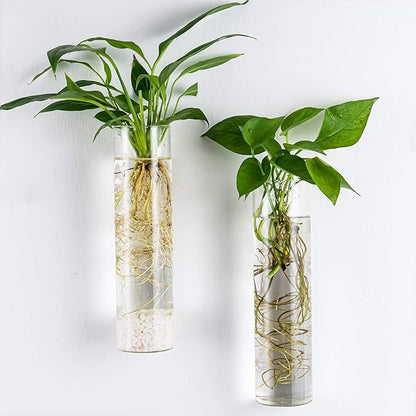 Kingbuy Wall-Mounted Plant Terrarium Propagation Station - 2 Cylinder Hanging Glass Tubes Planter for Hydroponic Plants, Indoor Wall Vases & Decorative Plant Holder Bathroom Office Living Room Decor