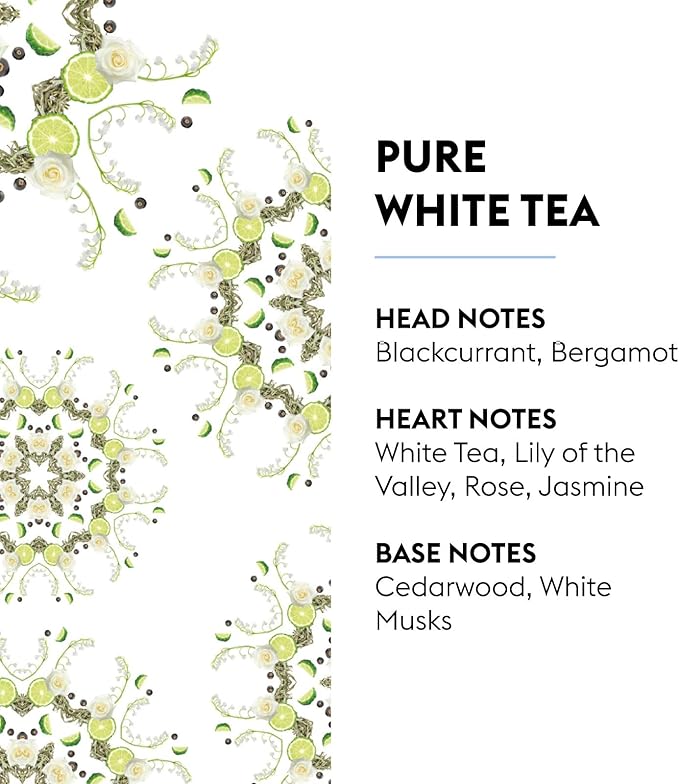 MAISON BERGER Pure White Tea Lampe Berger Refill, 500 ml (16.9 fl oz), Odor-Neutralizing Home Fragrance Oil Lamps, Blackcurrant, Bergamot, White Tea, Made in France