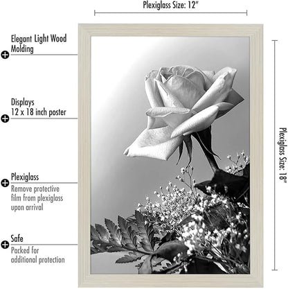 Americanflat 12x18 Poster Frame with Polished Plexiglass - Wide Picture Frames Made of Engineered Wood for Vertical or Horizontal Wall Display - Epic Collection - Light Wood