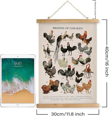 XIAOAIKA Vintage-Inspired Chicken Breeds Art Print - Educational Wall Hanging Poster with Wooden Frame - Rustic Farmhouse Decor, Perfect for Kitchen or Classroom 12 x 16 Inches