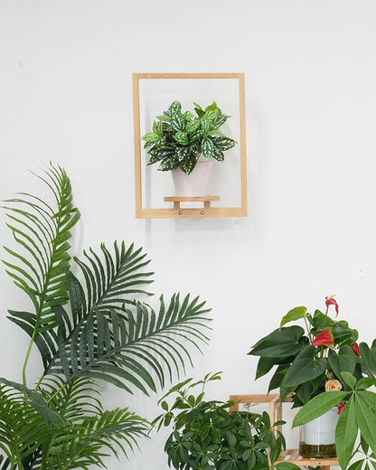 yadoker Wall Planters for Indoor Plants,Bamboo Hanging Plant Holders, Wall Decor Plant Stand, 1-Pack Window Plant Shelves for Living Room & Entryway