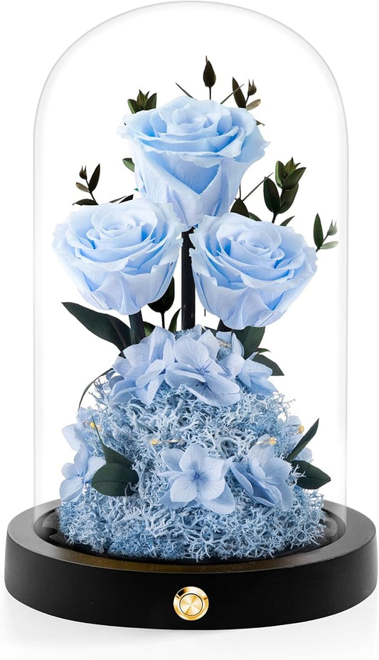 Valentines Day Flowers Roses Gifts for Her,Forever Real Preserved Roses in Glass Dome,Valentines Day Anniversary Birthday Gifts for Wife Girlfriend Women Mom Best Friend Her/Blue
