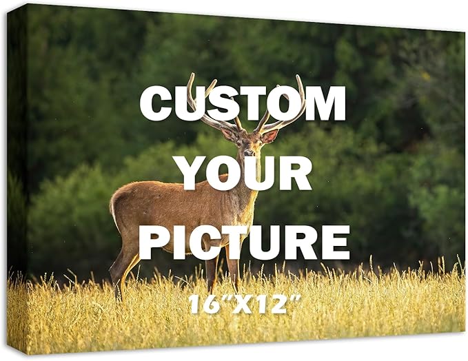 YYYYHPP Canvas Prints with Your Photos, Personalized Photo to Canvas Wall Art,Canvas Printing for Wedding, Family, Baby, Pets, Home Office Decor, Wrapped Frame 16"x12"