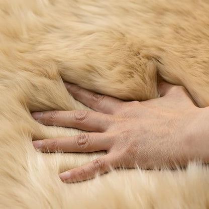 Genuine Sheepskin Rug New Zealand Fluffy Lambskin Rug, Natural Luxury Sheepskin Throw for Bedroom Living Room Children's Room Office- Premium Area Rug Chair Cover (2×3 Feet, Worm Brown)