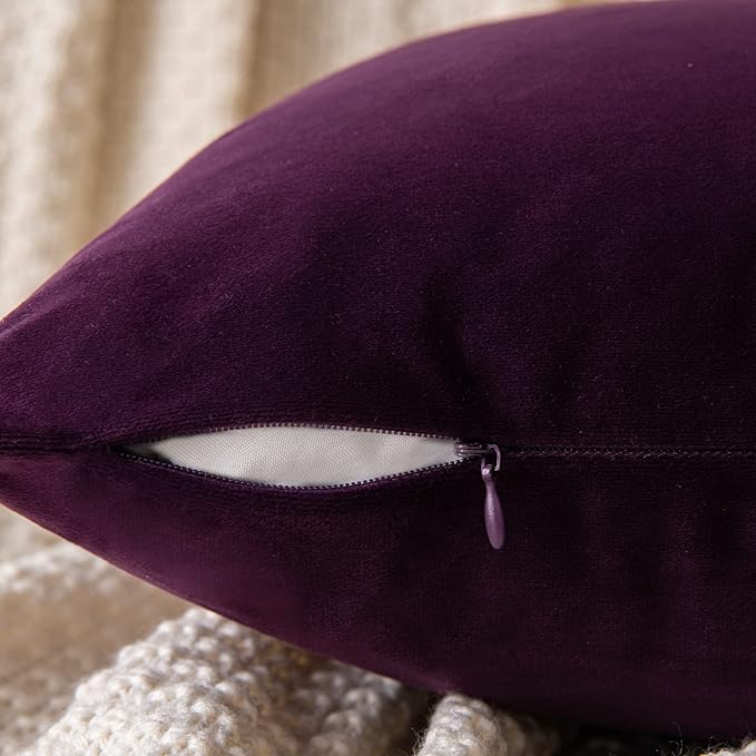 EMEMA Pack of 2 Velvet Throw Pillow Covers Decorative Square Pillowcase Soft Solid Cushion Case for Sofa Bedroom Chair Car 20x20 Inch Eggplant Purple