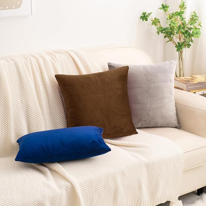 HWY 50 Coffee Velvet Throw Pillow Covers 20x20 Inch, Pack of 2 Soft Cozy Solid Decorative Luxury Cushion Cases for Couch Sofa Bed Living Room Bedroom