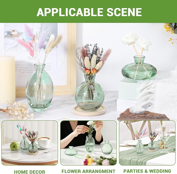 Suream Green Small Flower Vase, Set of 3 Cute Vase for Minimalist Decor, Glass Bud Vases for Home Table Flower Decoration