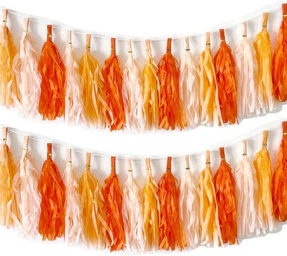 30pcs Paper Tassels Garland Banner Tissue Paper Tassel DIY Hanging Paper Decorations Party Tassel Garland Decor Baby Shower Nursery Wedding Festival Baby Shower Decoration(30, Orange kit)