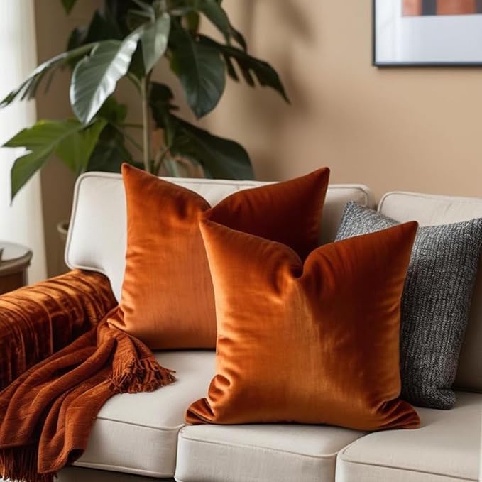 FEVERQIYI Burnt Orange Velvet Pillow Covers Set of 2 Decorative Square Throw Pillowcase Soft Solid 18x18 inch Cushion Covers for Bedroom Living Room Outdoor Indoor Decoration