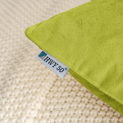 HWY 50 Leaf Green Velvet Throw Pillow Covers 16x16 Inch, Pack of 2 Soft Cozy Solid Decorative Luxury Cushion Cases for Couch Sofa Bed Living Room Bedroom