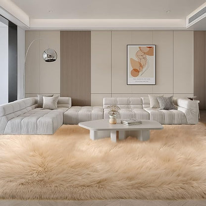 SERISSA Ultra Soft Faux Fur Rug 6x9 Feet, Fluffy Shaggy Area Rug Beige Faux Sheepskin Fur Rugs Fuzzy Rug, Furry Throw Rug for Living Room, Bedroom, Nursery Room Decor (Rectangle, Beige)