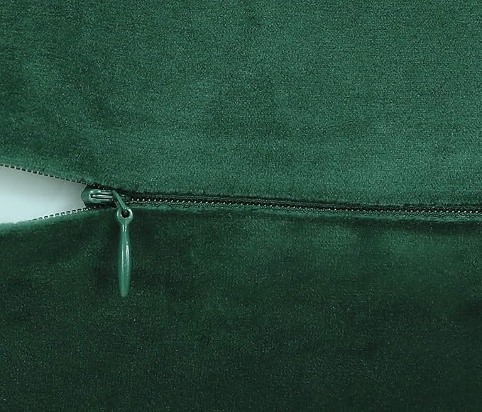 Jeneoo Comfy Decor Velvet Throw Pillow Covers for Livingroom Home Sofa Decorative Square Couch Cushion Cases (Hunter Green, 18 x 18 Inches, 2 Pieces)