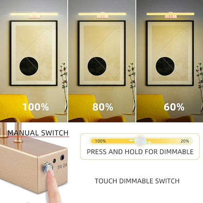 FUNCHDAY Picture Light,Battery Art Lights for Wall,Wireless Remote Painting Light with Timer and Dimmable,16”Metal Display Lighting for Artwork,Portrait,Gallery-Rosegold