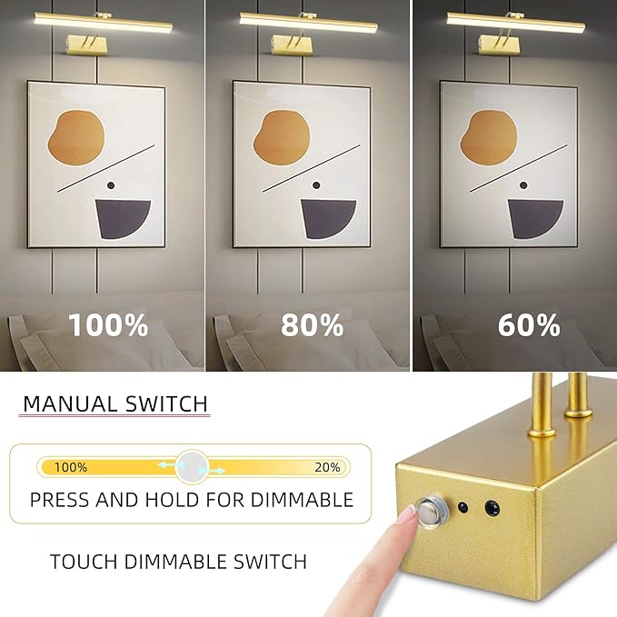 FUNCHDAY Picture Light,Battery Operated Art Lights for Wall,Wireless Remote Painting Light with Timer and Dimmable,16”Metal Display Lighting for Artwork,Portrait,Gallery-Gold-L