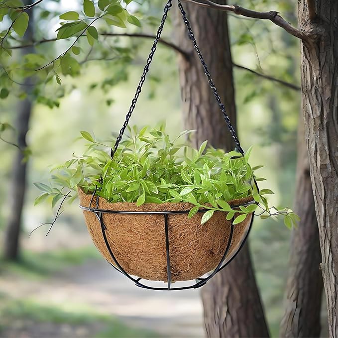 3-Pack Hanging & Wall-Mounted Plant Baskets with Natural Coconut Fiber Liner, Decorative Planters for Home Garden Patio Yard (3Pack FlatHanger, 10Inch)
