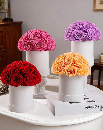Preserved Roses Dome in a Box, Forever Real Roses Decor, Eternal Flowers for Delivery Prime, Best Gifts Birthday, Wedding, Anniversary, Mother's Day, Christmas for Her, 18-Pieces (Light Purple)