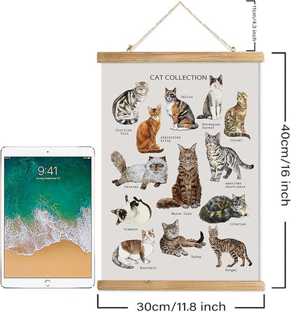 XIAOAIKA Cat Breeds Educational Poster - Illustrated Guide to Popular Feline Varieties with Wooden Scroll Frame - Decorative Wall Art for Cat Lovers and Pet Owners 12 x 16 Inches
