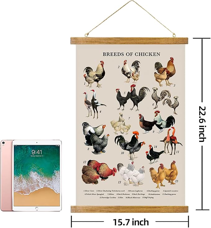 ABoby Vintage Illustrated Chicken Breeds Posters - Farmhouse Wall Art - Retro Style Wall Decor Painting with Wood Frames - Ready to Hang