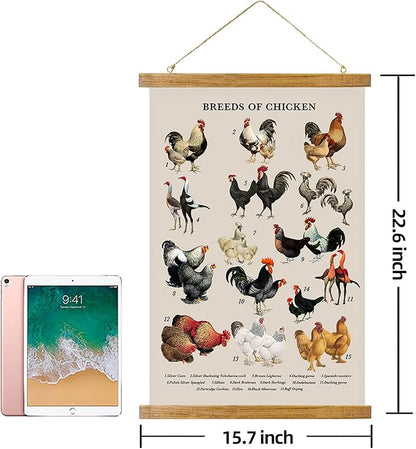 ABoby Vintage Illustrated Chicken Breeds Posters - Farmhouse Wall Art - Retro Style Wall Decor Painting with Wood Frames - Ready to Hang