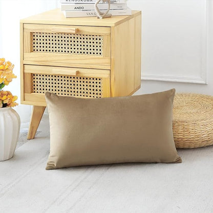 Artscope Luxury Velvet Pillow Covers Decorative Rectangle Pillowcases Soft Solid Cushion Cases for Couch Sofa Bedroom Car Decor 16x24 Inch Golden Brown