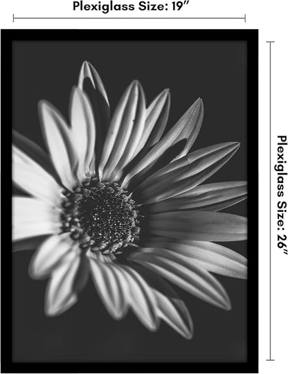 Americanflat 19x26 Picture Frame with Polished Plexiglass - Black Picture Frame - Wide Photo Frames Made of Engineered Wood for Vertical or Horizontal Wall Display - Epic Collection - Black