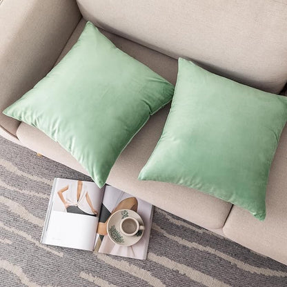 NiNi ALL Decorative Sage Green Throw Pillow Covers Pack of 2 Velvet 14x14 Inch Throw Pillow Cases for Couch Pillows Cover Bedroom Living Room Outdoor Pillows Cover