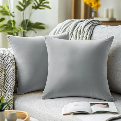 QUORGVES Light Grey Velvet Pillow Covers 22x22 Inch Set of 2, Soft Solid Decorative Square Throw Pillow Covers, Decor Cushion Covers for Bed Sofa Couch Bedroom Living Room - Light Gray