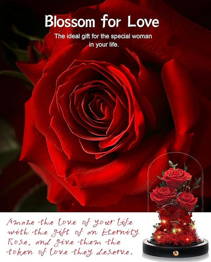 Valentines Day Flowers Roses Gifts for Her,Forever Real Preserved Roses in Glass Dome,Valentines Day Anniversary Birthday Gifts for Wife Girlfriend Women Mom Best Friend Her/Red Rose
