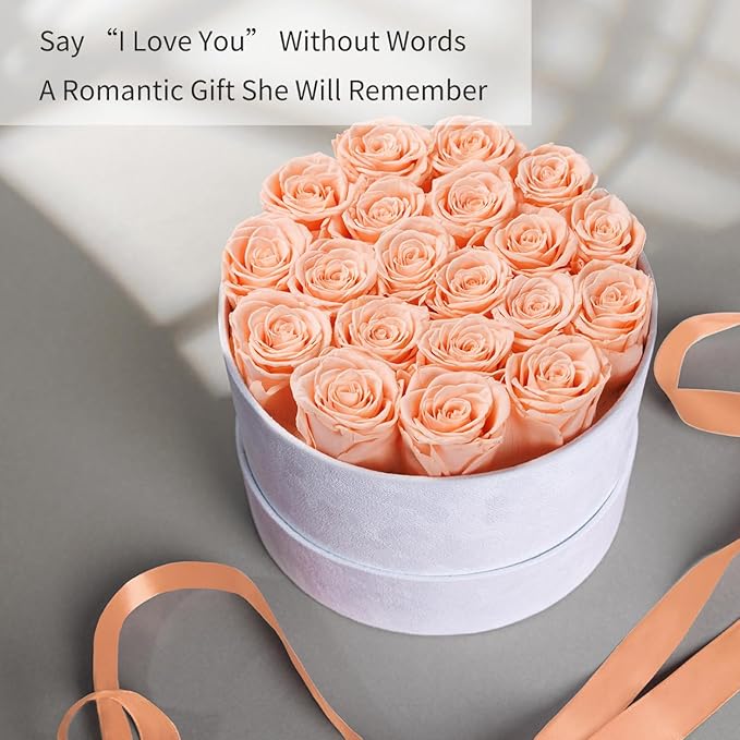 Gifts for Women Preserved Roses Flower Box, Luxury Velvet Box with 20 Roses, Preserved Flowers, Romantic Gift for Her, Wife, Girlfriend, Birthday Anniversary Christmas (Peach Pink)