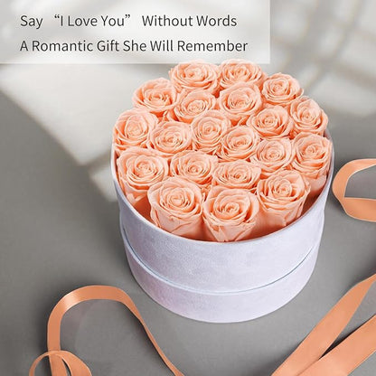 Gifts for Women Preserved Roses Flower Box, Luxury Velvet Box with 20 Roses, Preserved Flowers, Romantic Gift for Her, Wife, Girlfriend, Birthday Anniversary Christmas (Peach Pink)