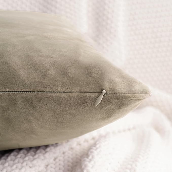 HWY 50 Taupe Velvet Throw Pillow Covers 16x16 Inch, Pack of 2 Soft Cozy Solid Decorative Luxury Cushion Cases for Couch Sofa Bed Living Room Bedroom