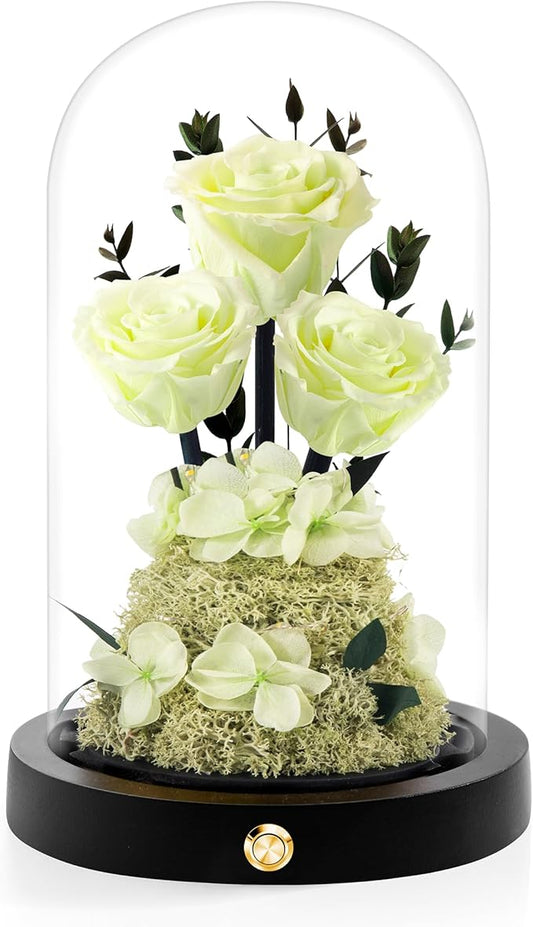 Valentines Day Flowers Roses Gifts for Her,Forever Real Preserved Roses in Glass Dome,Valentines Day Anniversary Birthday Gifts for Wife Girlfriend Women Mom Best Friend Her/Light Green