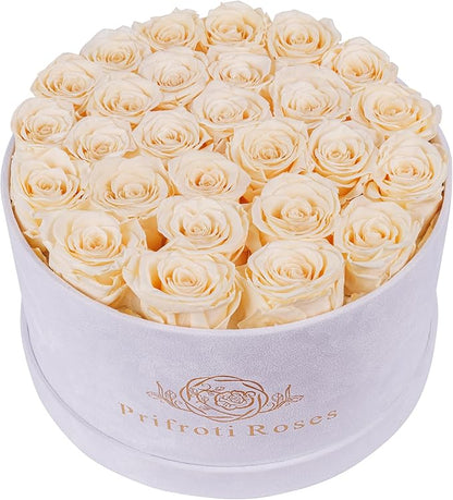 27 Flowers in a Luxury Suede Box, Birthday Gifts for Women, Preserved Flowers, Mothers Day Roses Gift for Mom, Champagne