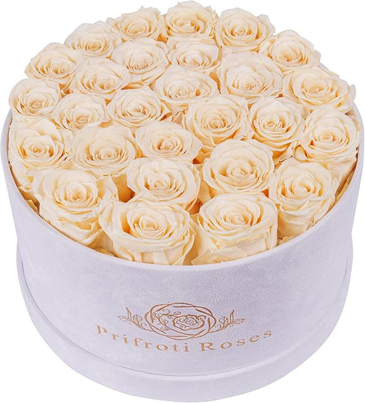 27 Flowers in a Luxury Suede Box, Birthday Gifts for Women, Preserved Flowers, Mothers Day Roses Gift for Mom, Champagne