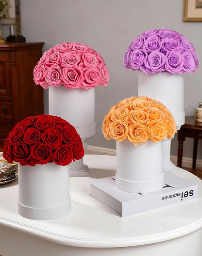 27 Forever Roses Dome in Luxury White Box, Eternal Real Roses Birthday Gifts for Women, Preserved Flowers for Delivery Prime, Anniversary, Valentine's Day, Mothers Day for Mom (Pink)