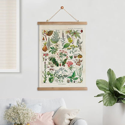 XIAOAIKA Vintage Botany Poster with Wooden Frame, Antique Poisonous Plants Chart - Botanical Educational Art with Dangerous Species - Retro-Style Wall Hanging for Home Classroom Decor 16 x 23 Inches
